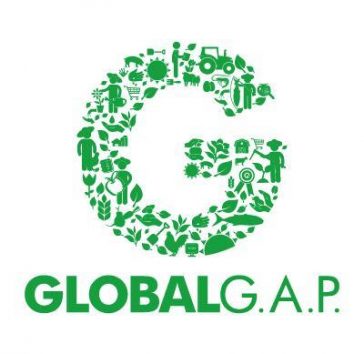 http://ExporbanECUADOR.com.ec/wp-content/uploads/2017/01/GLOBAL-364x354.jpg